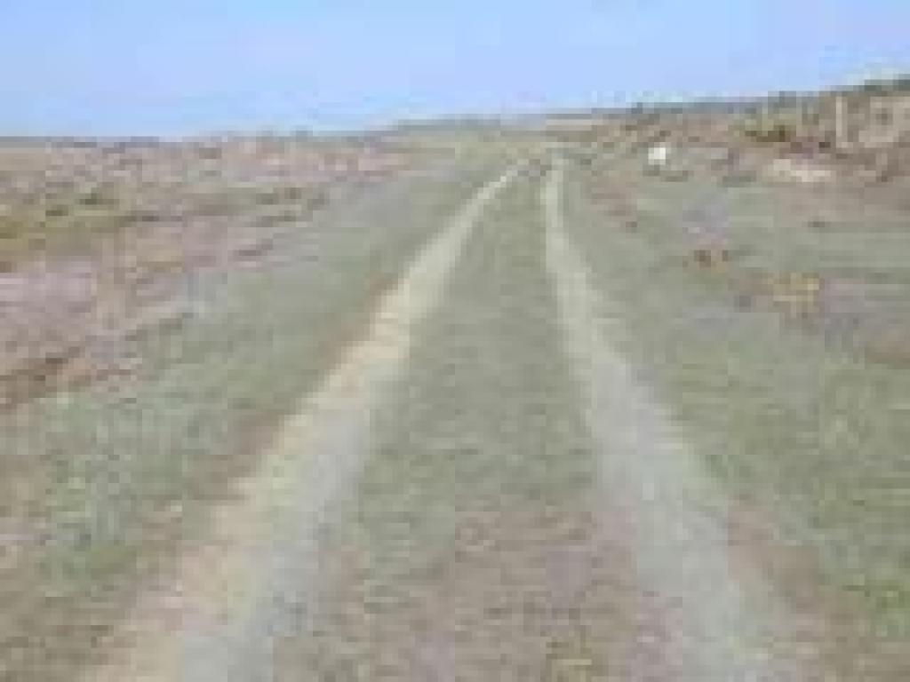 Trail through cattle country