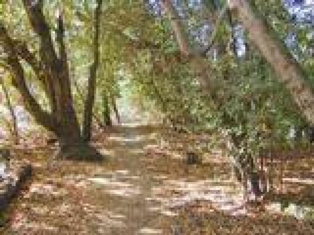 Trail under California bays