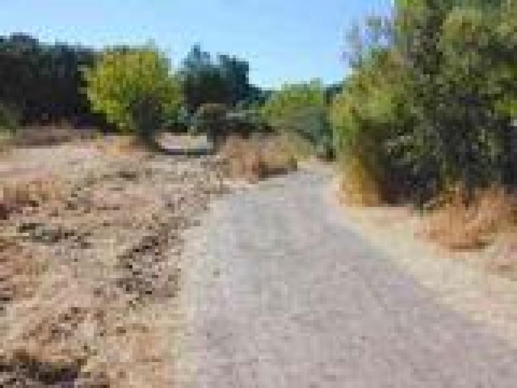 Three Meadows Trail