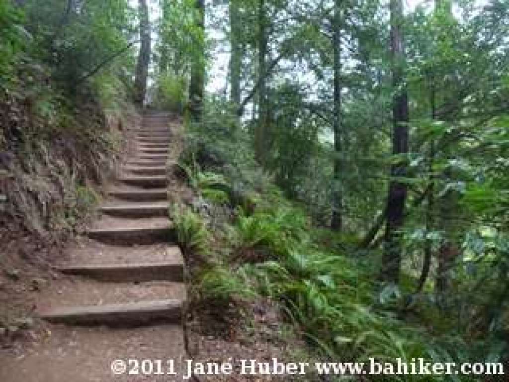 Lost Trail