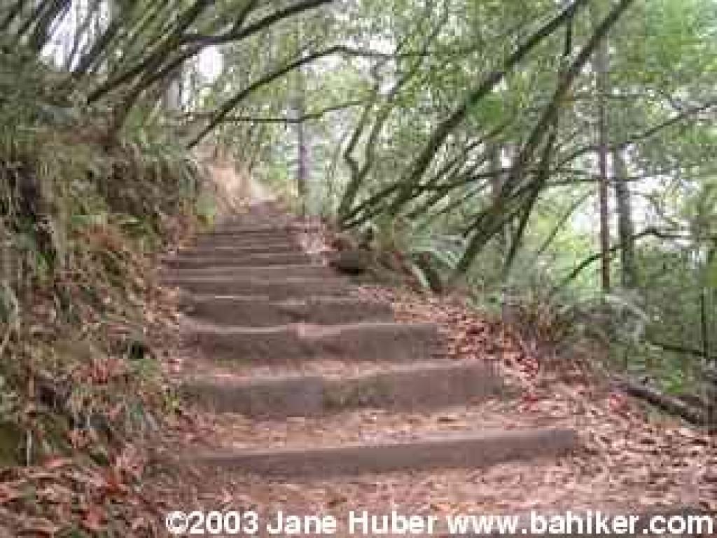 Lost Trail