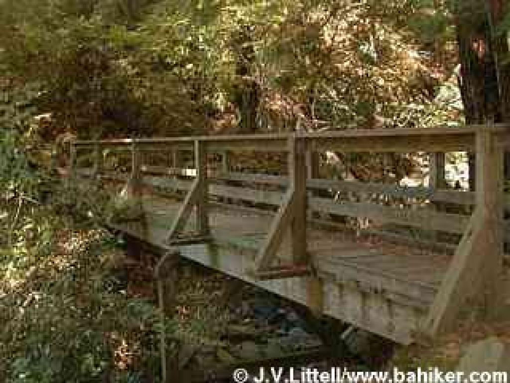 Troop 80 Trail