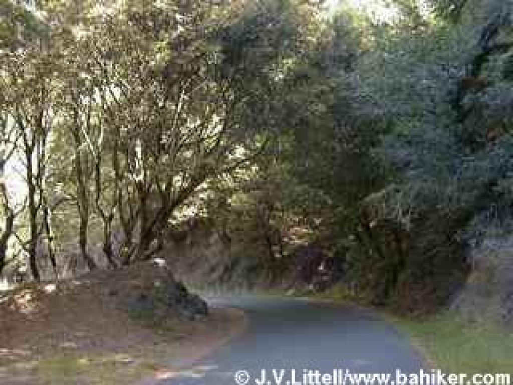 Camp Eastwood Road