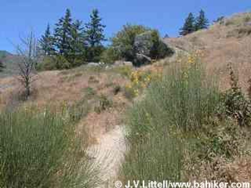 Ocean View Trail emerges into grassland