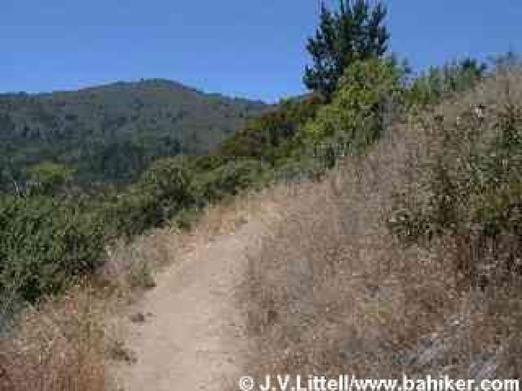 Panorama Trail