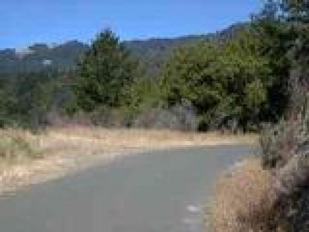 Camp Eastwood Road
