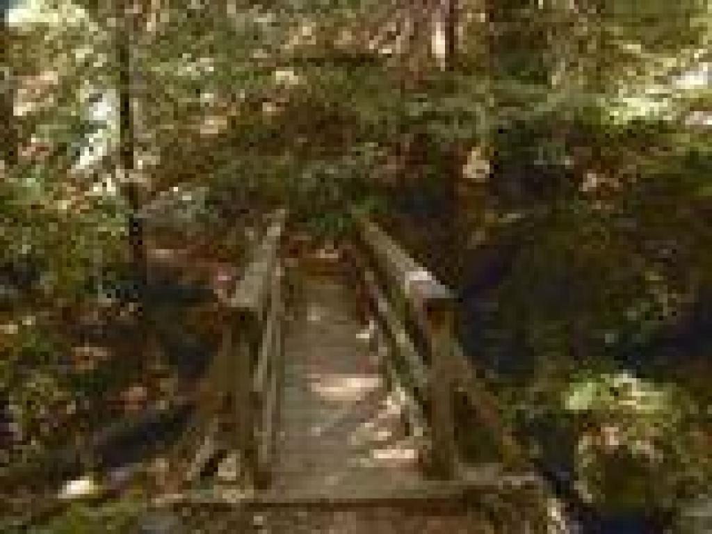 Bridge