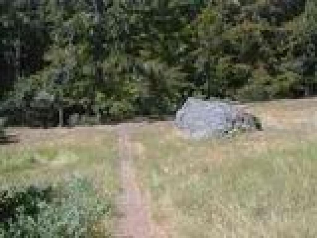 Van Wyck Meadow 