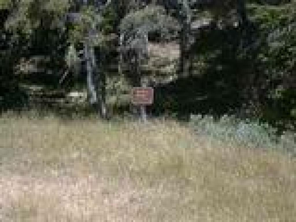 Stellar jay sign