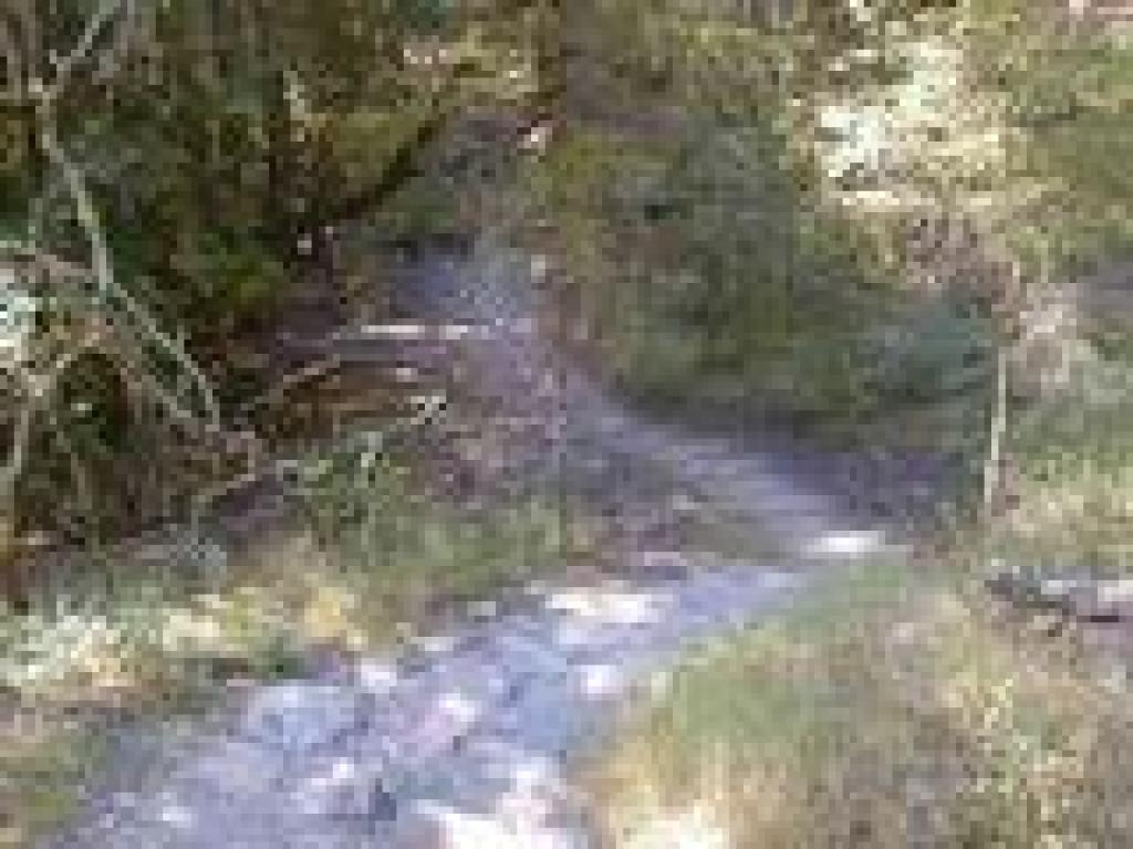 Bootjack Trail