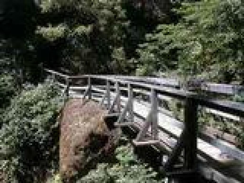 Bridge at Rattlesnake Creek