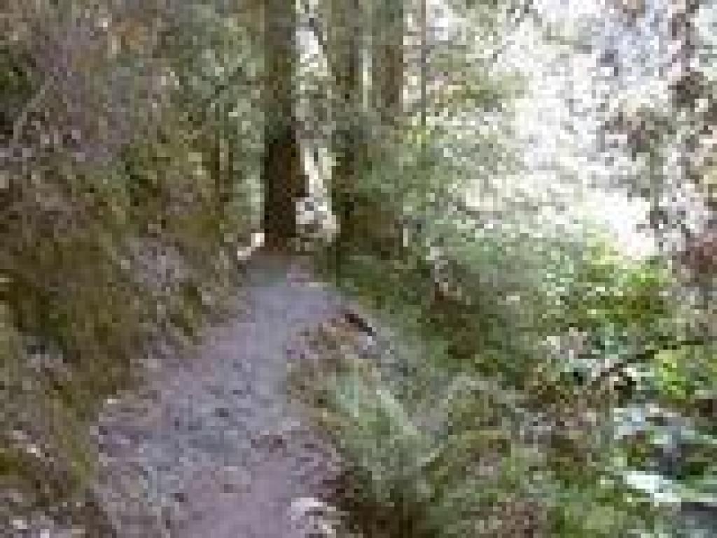 Bootjack Trail