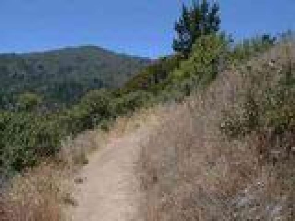 Panorama Trail