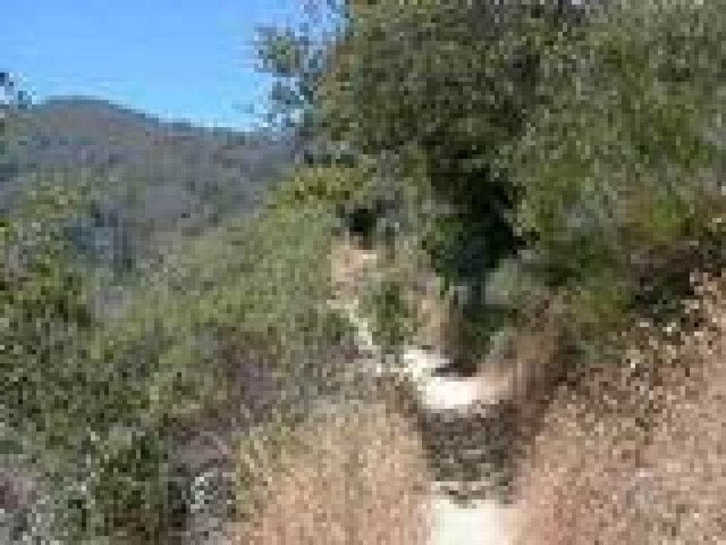 End of Panorama Trail