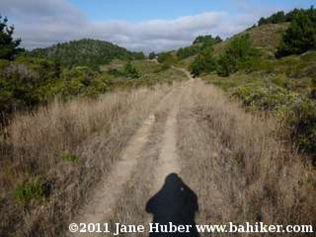 Muddy Hollow Road