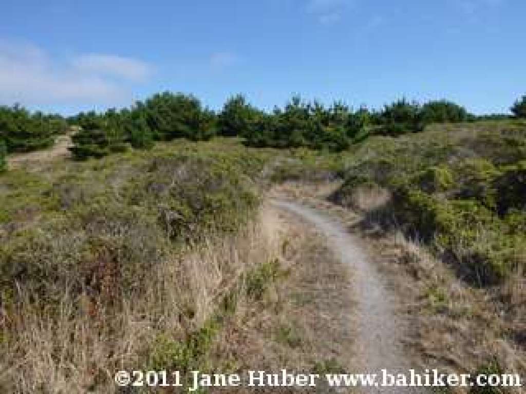 Estero Trail