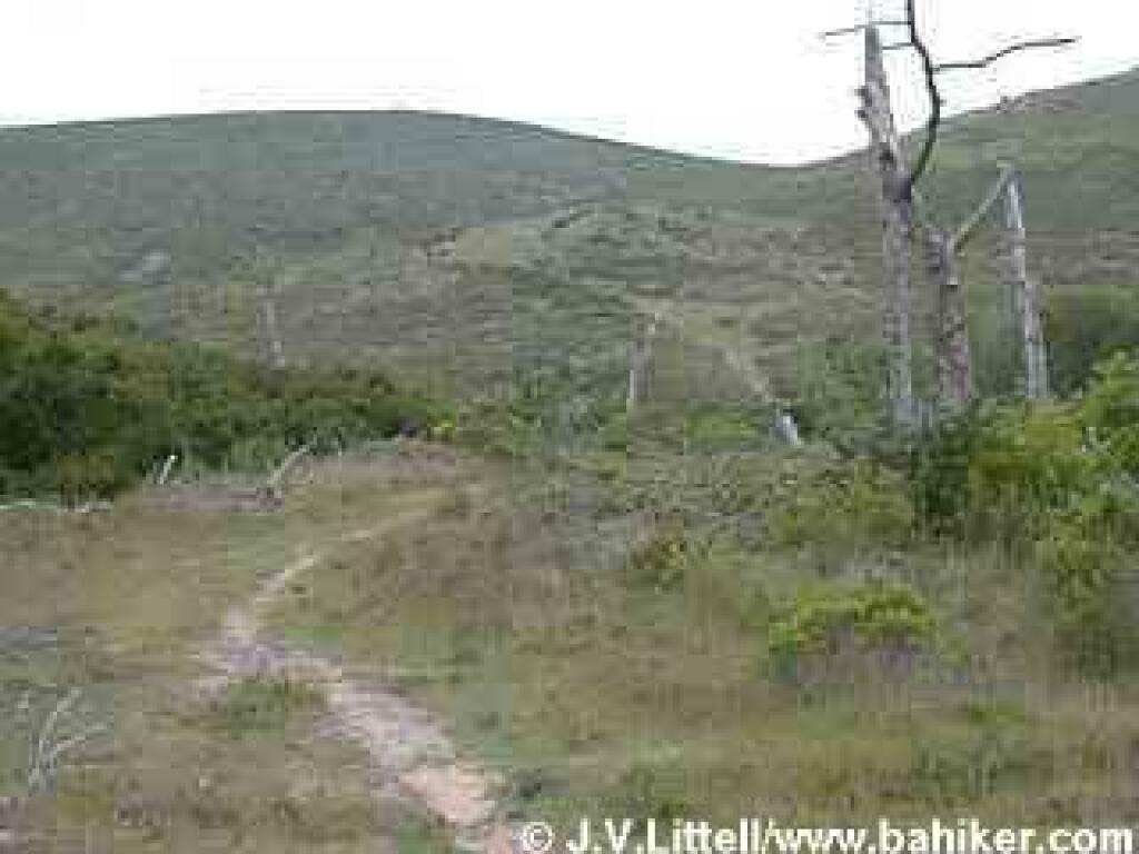 Muddy Hollow Road
