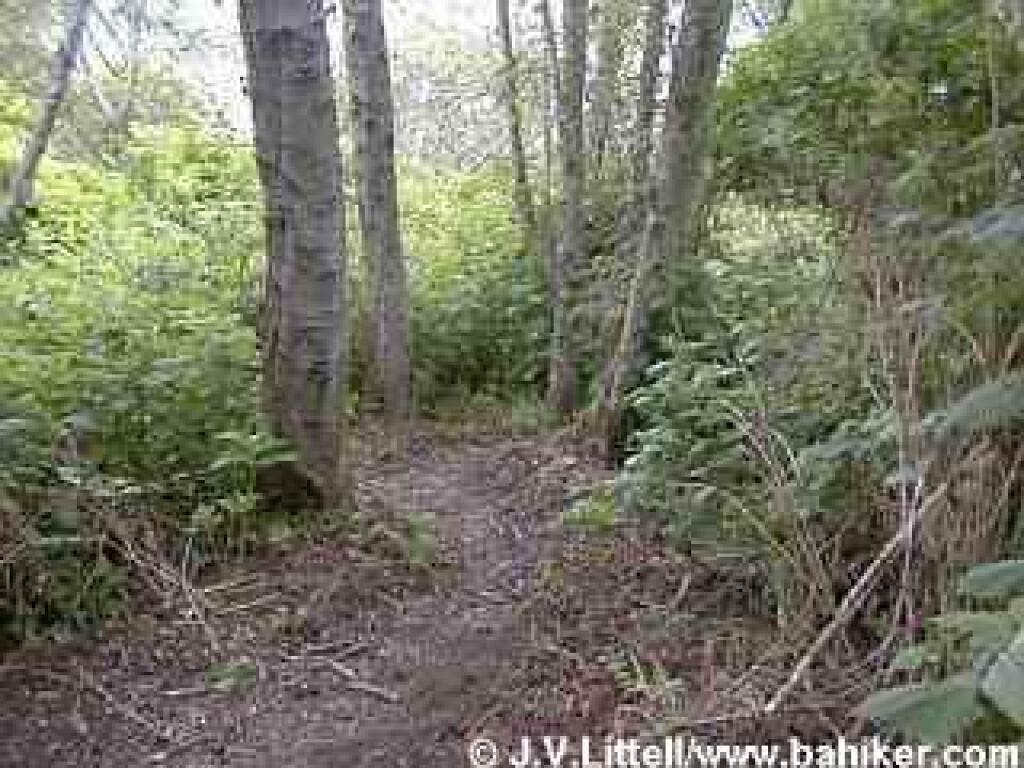 Estero Trail