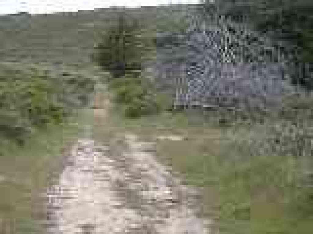 Junction
