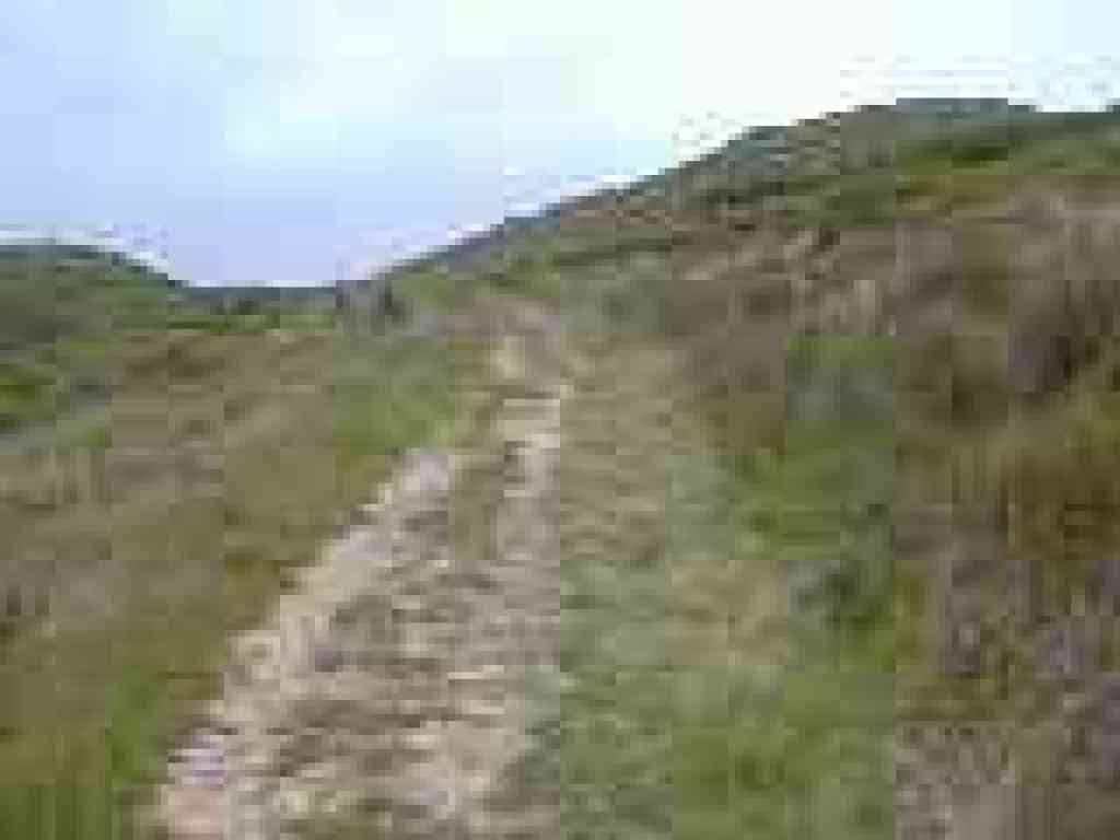 Muddy Hollow Road