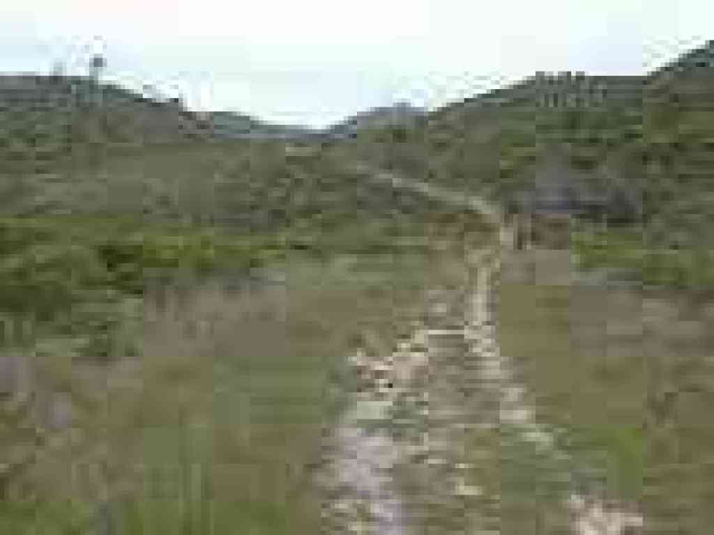 Muddy Hollow Road