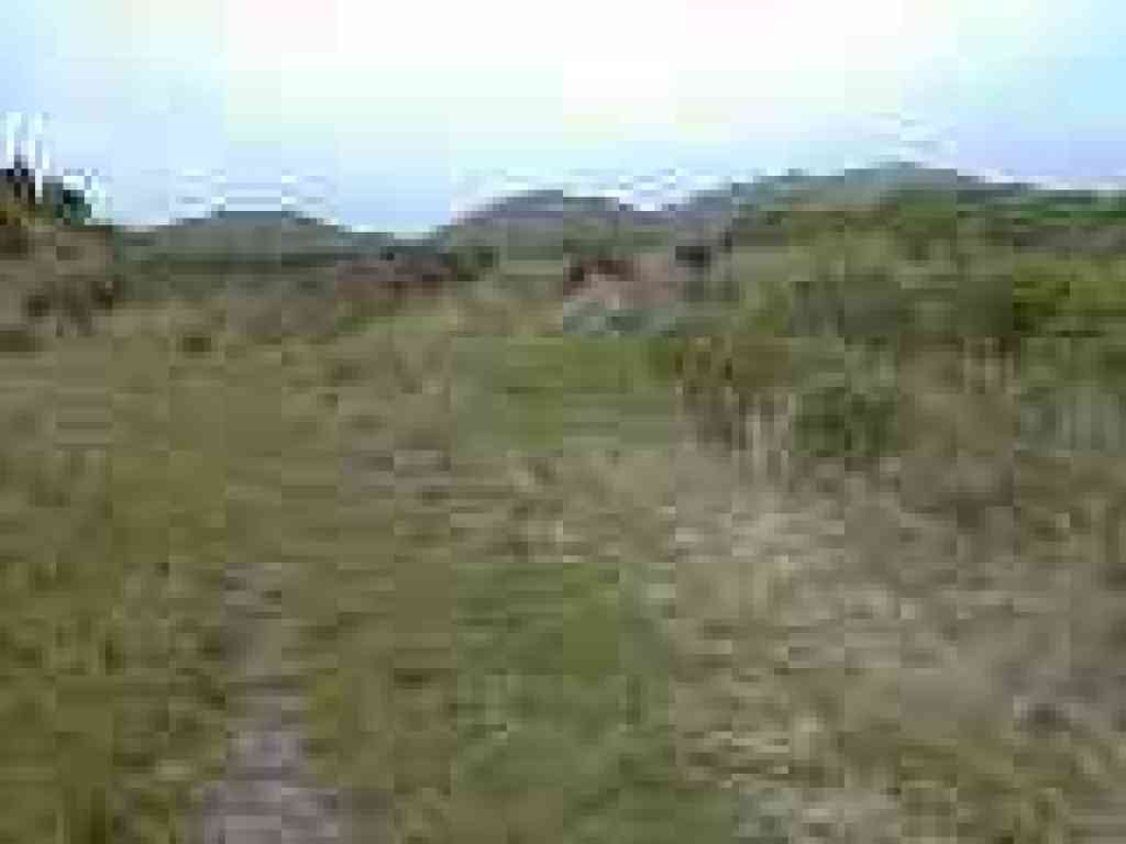 Junction