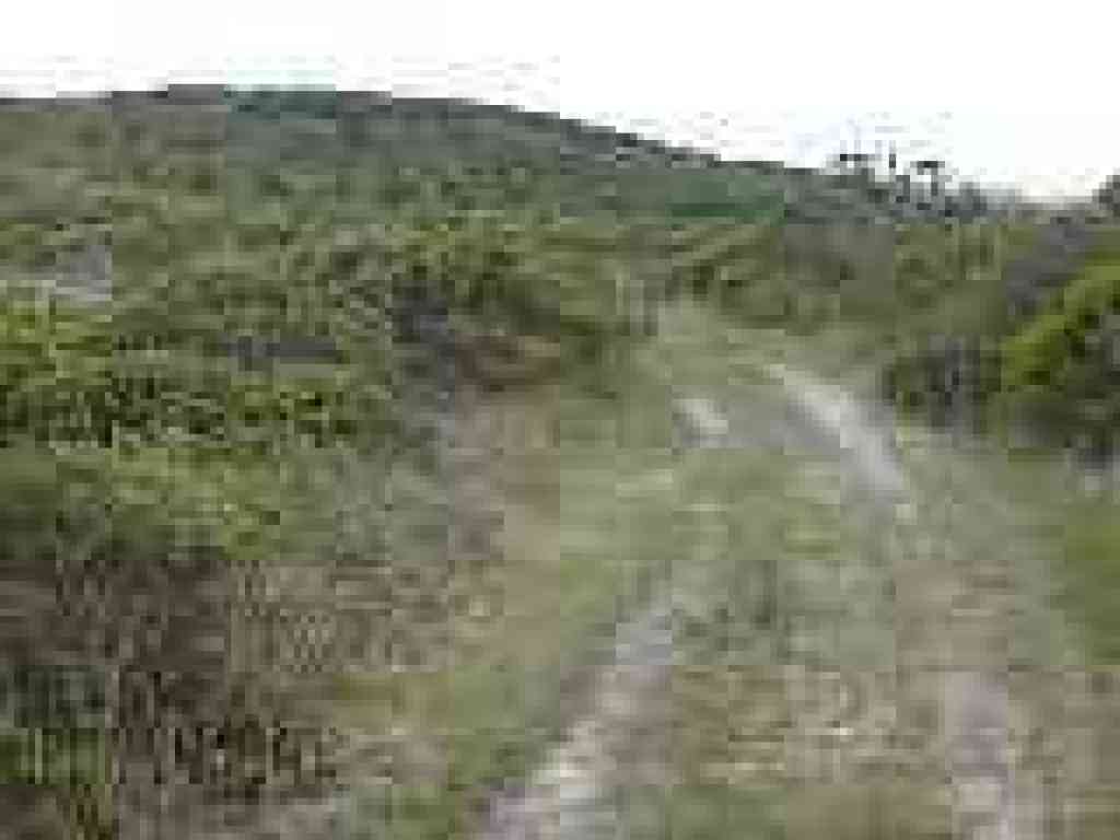 Glenbrook Trail