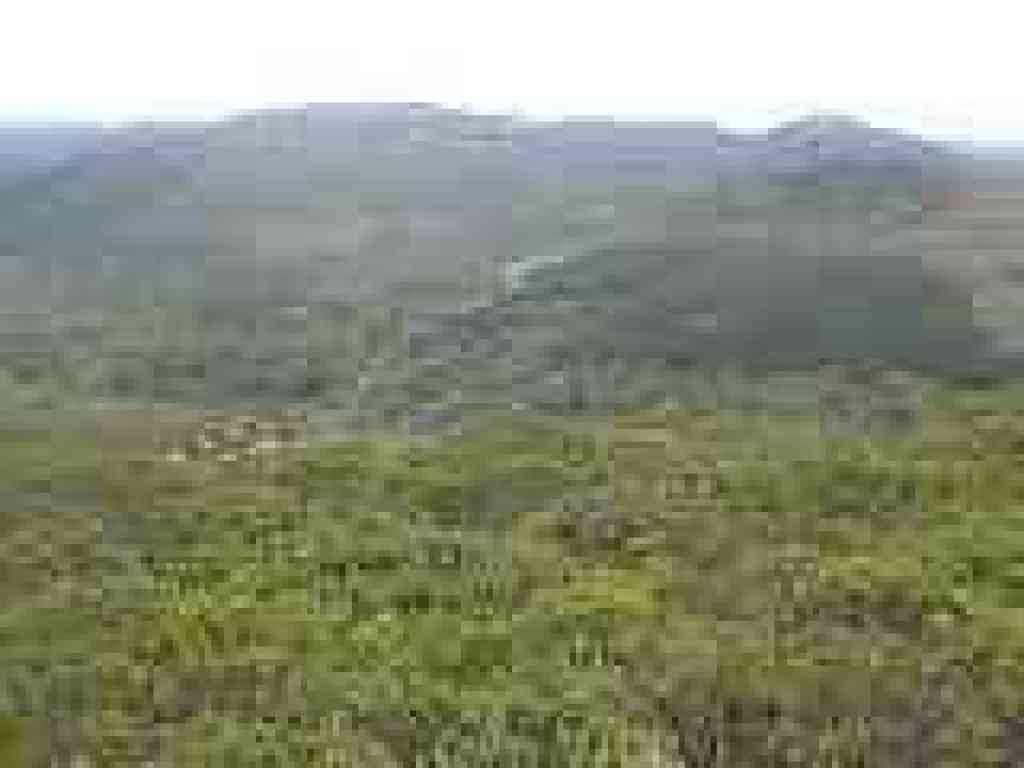 View back