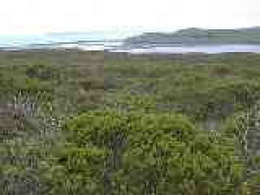 View to Drakes Estero