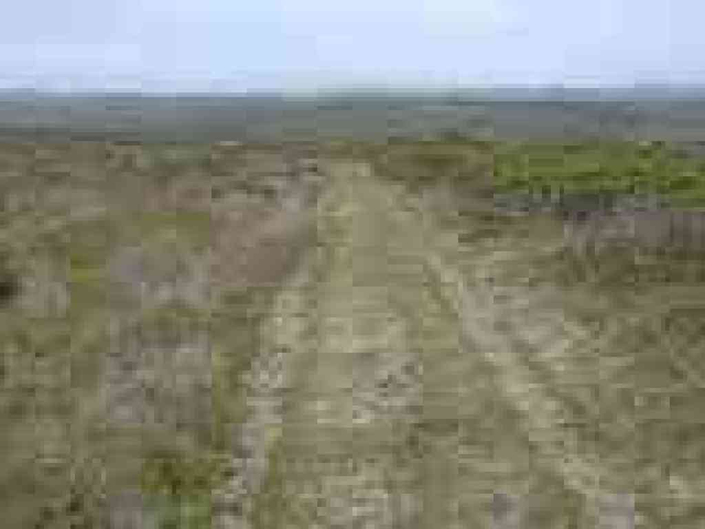 Estero Trail