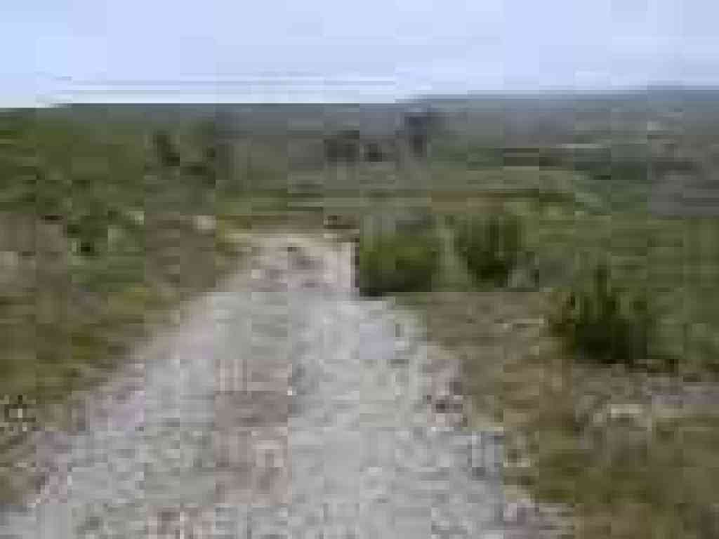 Trail heads north