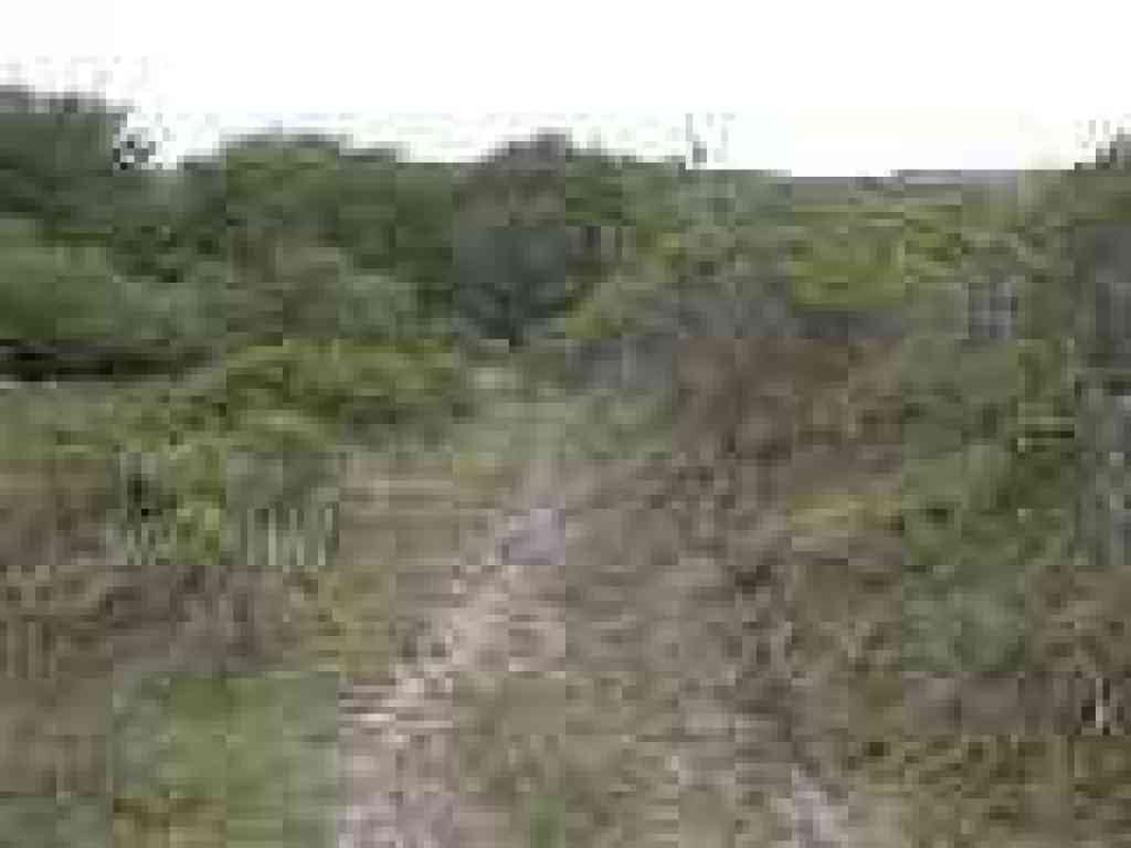 Lumpy trail