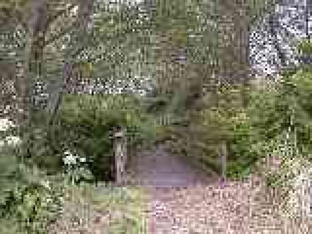 Bridge