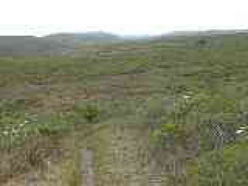 View back north