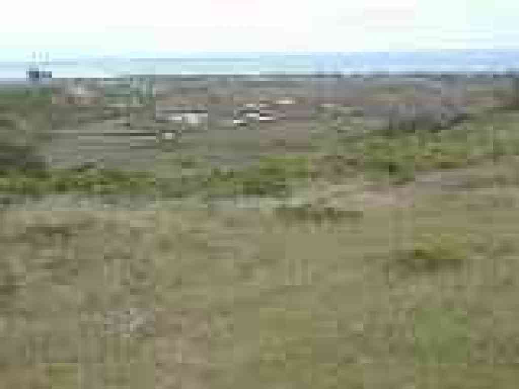 View to the ocean