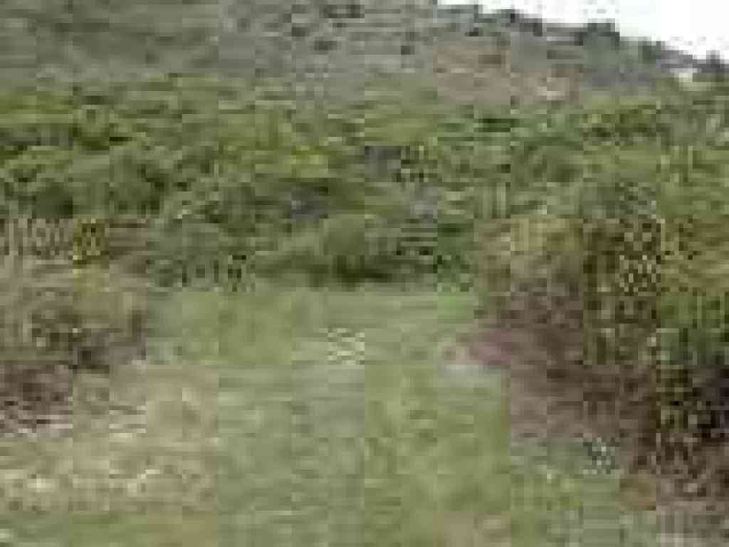 Junction