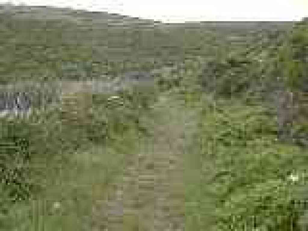 Muddy Hollow Trail