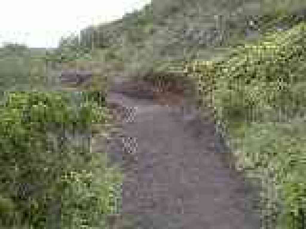 New trail segment