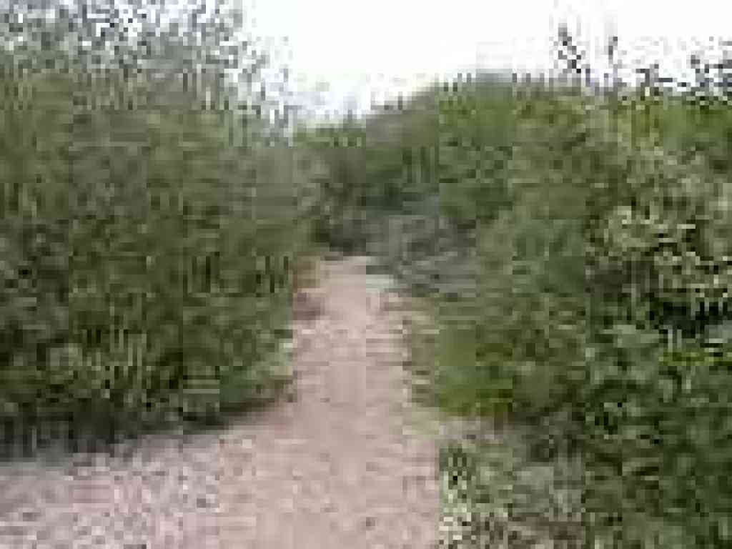 Back on track