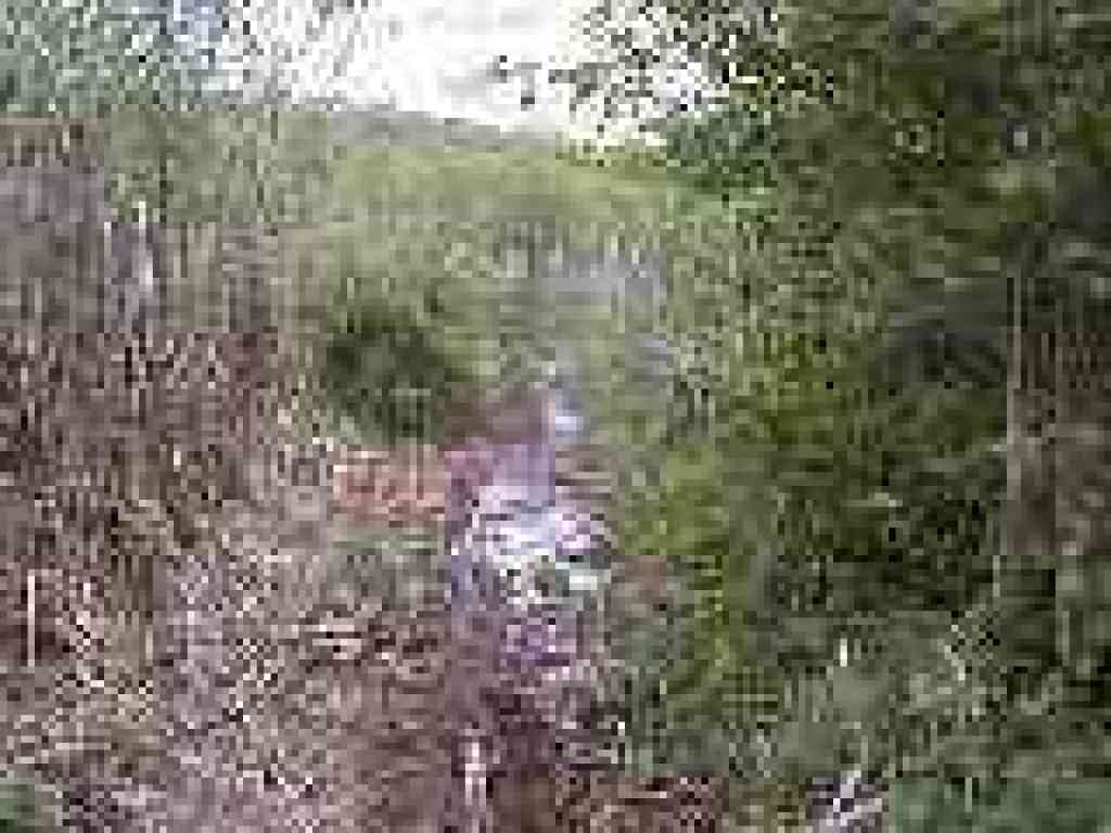 Muddy