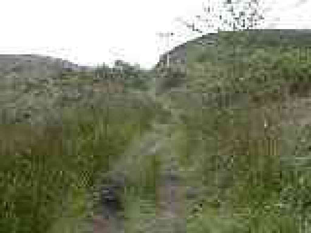 Returning to dry ground