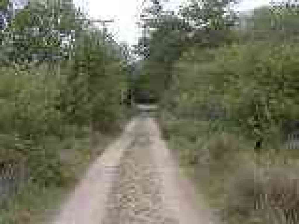 Return to the trailhead