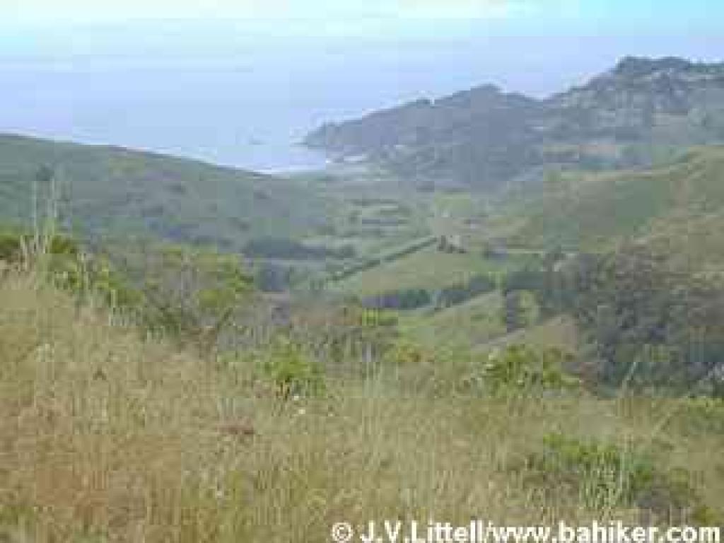 View from the ascent on Green Gulch Trail