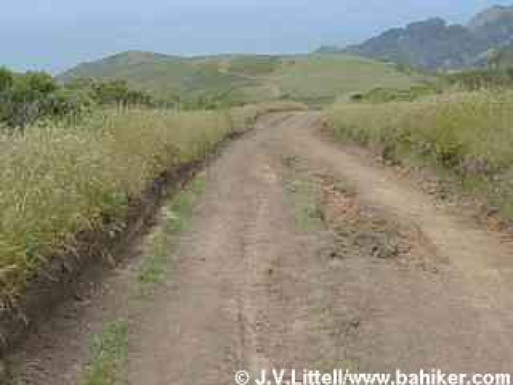 Coastal Fire Road