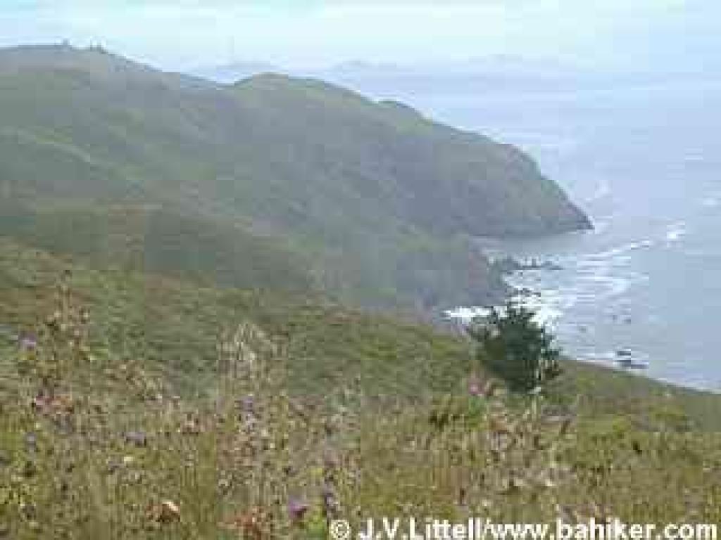 View from Coastal Trail