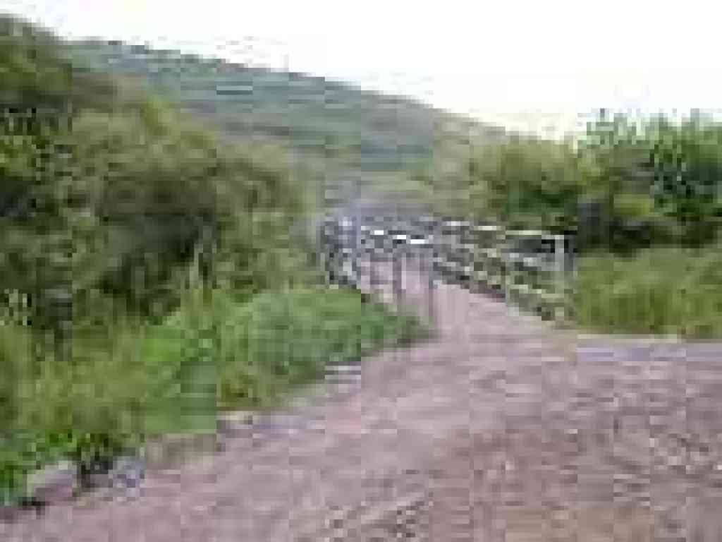 Bridge
