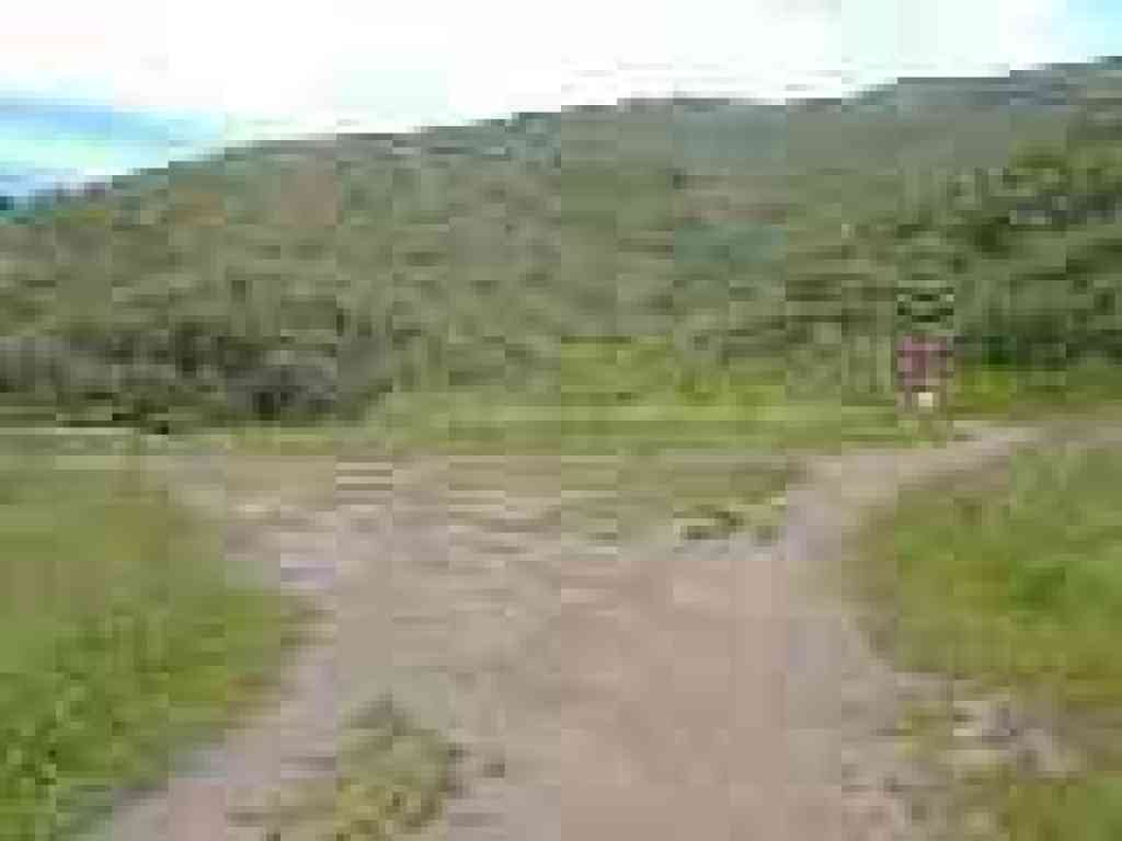 Junction