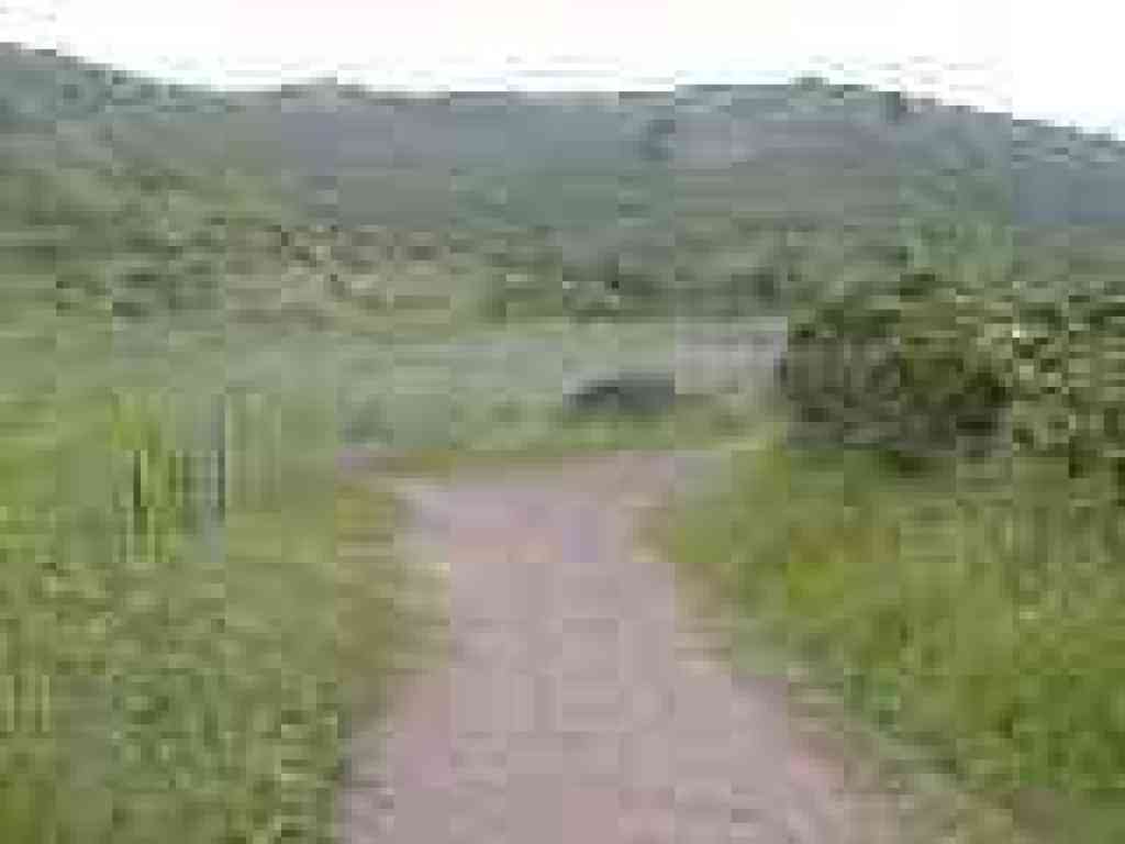 Junction