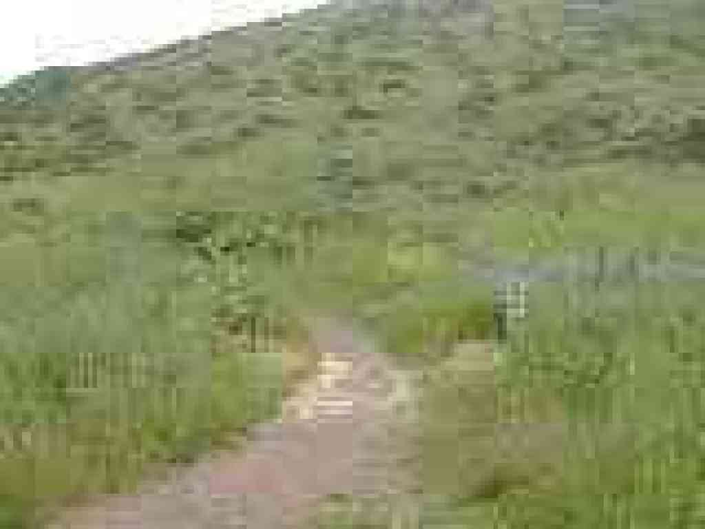 Green Gulch Trail