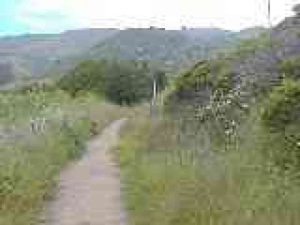 Green Gulch Trail